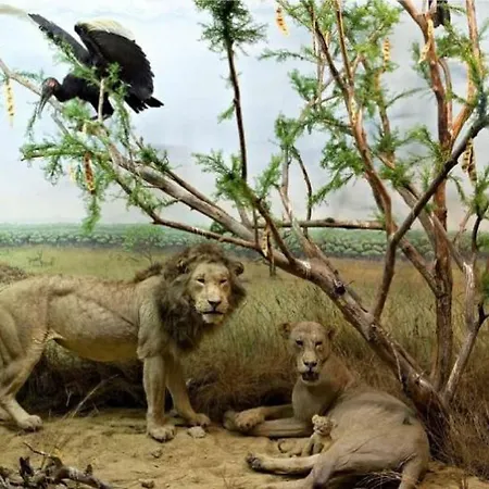 ヴィラ Podere Terra Nuova Peccioli