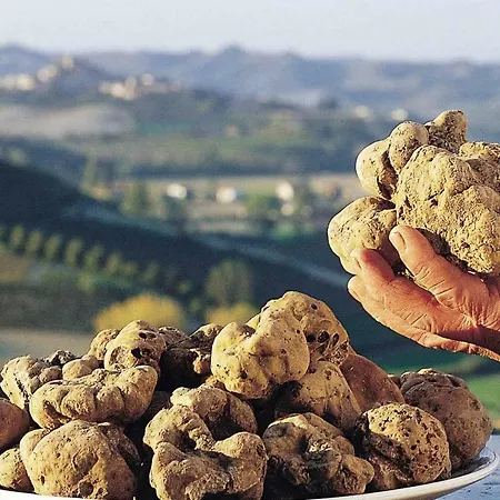 ヴィラ Podere Terra Nuova Peccioli